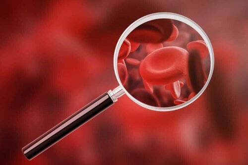 Forstørrelsesglas viser blod