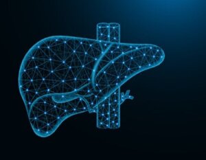 Portal hypertension: Årsager, symptomer, diagnose og behandling
