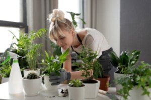 Chelateret jern: Hvordan kan det gavne dine planter?