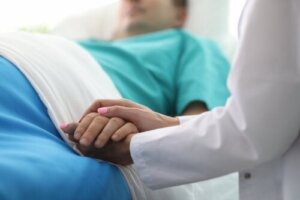 Grundlæggende anatomiske stillinger