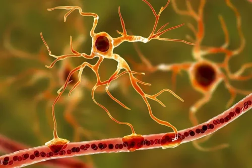 Illustration af nervesystemet