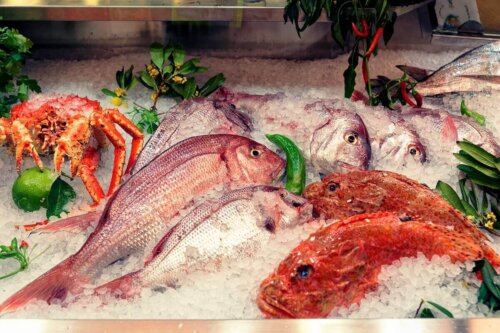 Rød multe på frost