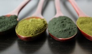 Algeproteinpulver: Alt, du behøver at vide om dette kosttilskud