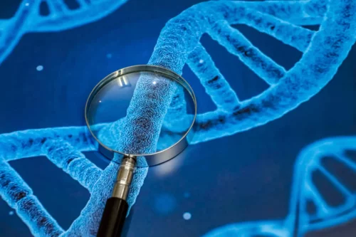 Undersøgelse af DNA med et forstørrelsesglas