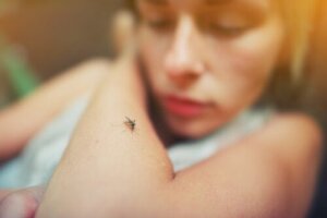 Vaccinen mod dengue: Alt, hvad du behøver at vide om det