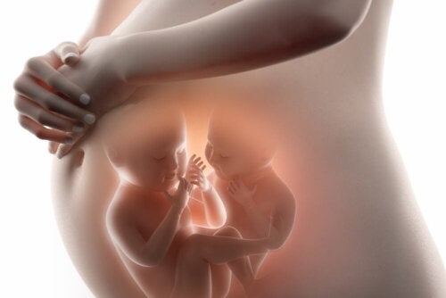 Alt, hvad du behøver at vide om fetus in fetu