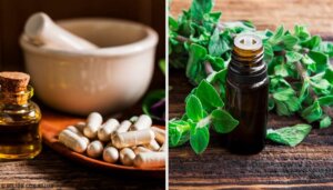 Kender du de bedste naturlige antibiotika?