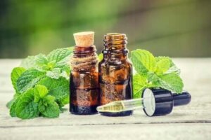 Behandling med rosmarin og brændenælde til håret