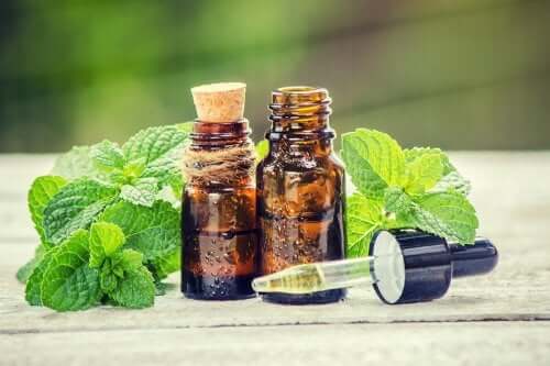 Behandling med rosmarin og brændenælde til håret