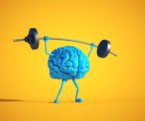 10 vigtige aspekter for en sund hjerne