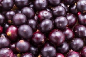 Udrensning med acai-bær: Hvorfor er det en farlig tendens?