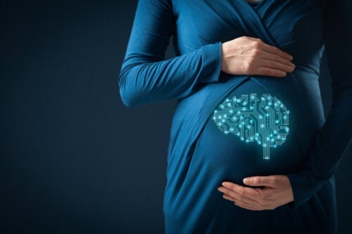 Undersøgelser viser, at graviditet ændrer hjernen og fremmer tilknytning til børn