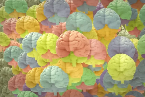 Mange hjerner i forskellige farver