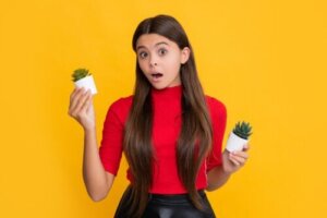 Er kaktusser og sukkulenter det samme? Find ud af, hvorfor de ikke er det