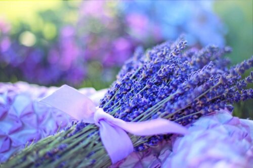 Lavendel kan bruges til bodyscrubs til tør hud