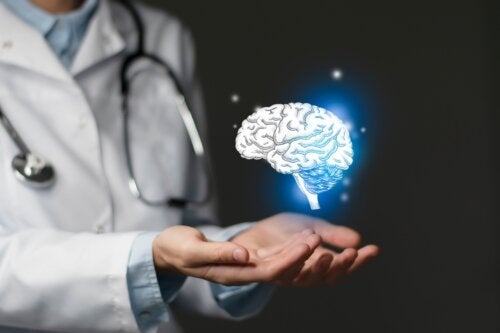 Cerebral angiografi: Karakteristika, forberedelse og risici ved testen