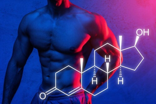 Proteinsyntese: Hvordan du kan maksimere øgning af muskelmasse