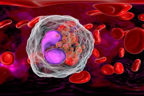 Illustration af blodlegemer, der bekæmper vira