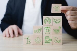 10 anbefalede daglige rutiner fra FN for at reducere klimaforandringer