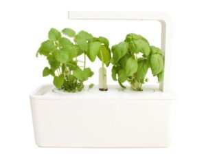 Smarte krukker: Se, hvordan de virker og fordelene for dine planter