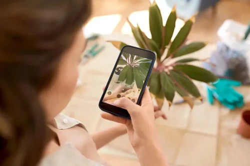 Kvinde tager billede af plante på sin telefon i app til smarte krukker