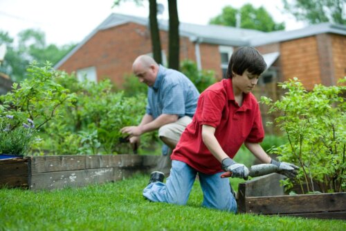 Far og søn nyder havearbejde