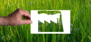Sådan identificerer du greenwashing