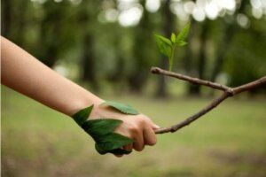 De 14 bedste citater til naturelskere