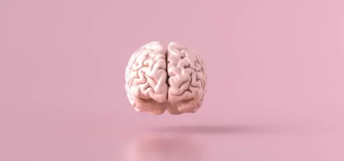 Svævende hjerne i lyserødt rum