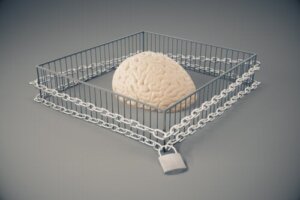 Hvad er ufleksible standarder?