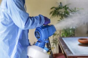 Sådan kan du rengøre efter fumigering - trin og tips