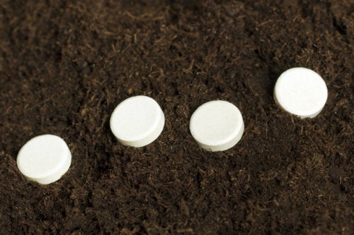 Passer det, at aspirin kan hjælpe planter med at slå rødder?