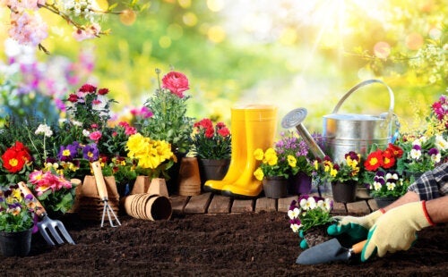 10 vigtige redskaber til at passe haven i foråret