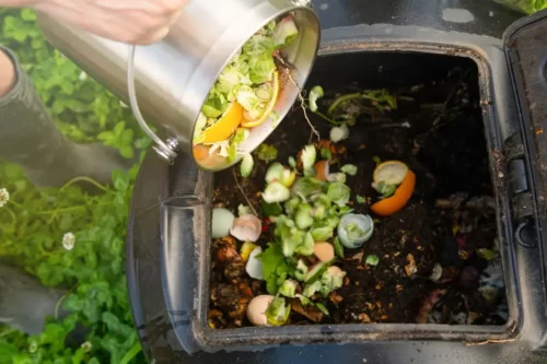 Kompost er en af de mere populære genbrugstendenser