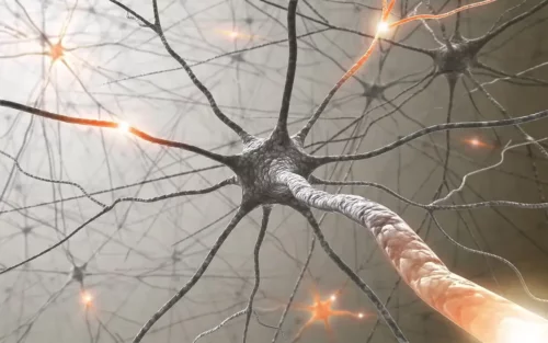 Aktive neuroner