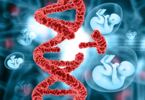DNA og fostre