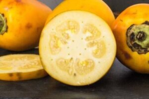 Hvad er cocona, og hvad er de sundhedsmæssige fordele?