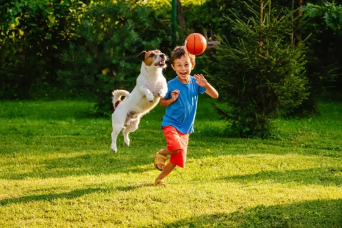 Hund og dreng leger med bold som eksempel på ting, man kan donere før en flytning