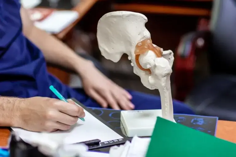 Læge sidder med model af knogler