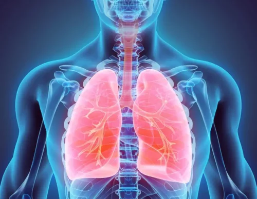 Illustration af lungerne