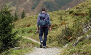 Hvorfor er naturens lyde gode for helbredet?