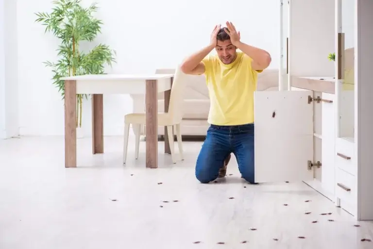 Mand er frustreret over kakerlakker i skab