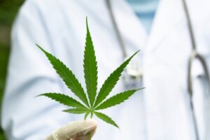 Brug af cannabis mod MS-symptomer: Hvad er effekten af det?