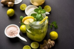 Shikanji, den ayurvediske mojito: Definition og opskrift