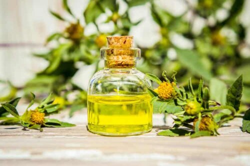 Tea tree olie kan bruges til at fjerne neglesvamp med naturlige midler