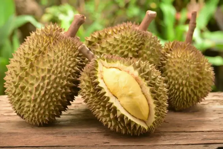 Durian er eksempel på eksotiske frugter