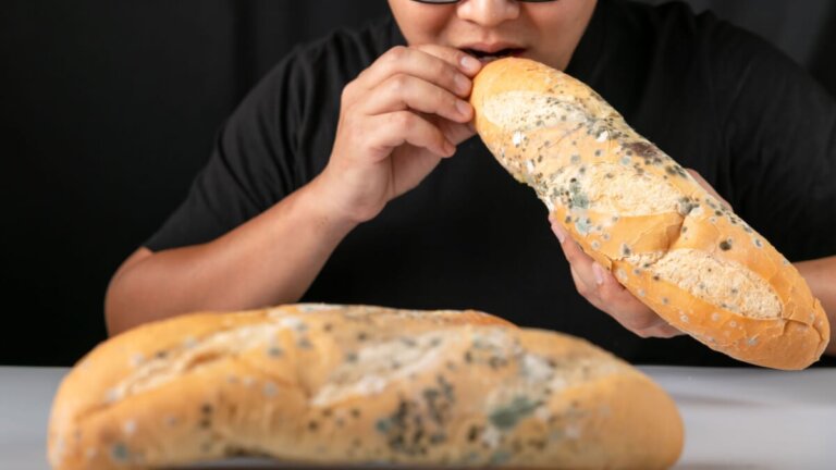 Hvad sker der, hvis du spiser muggent brød?